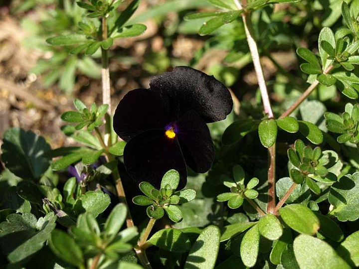P3011338