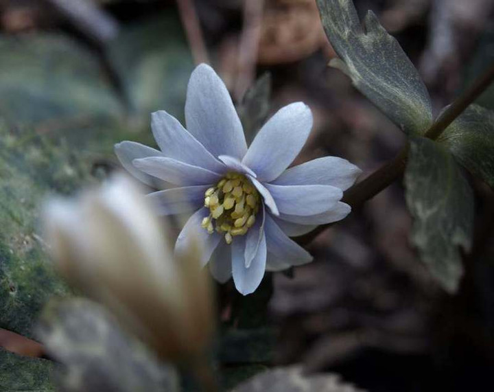 P2211018
