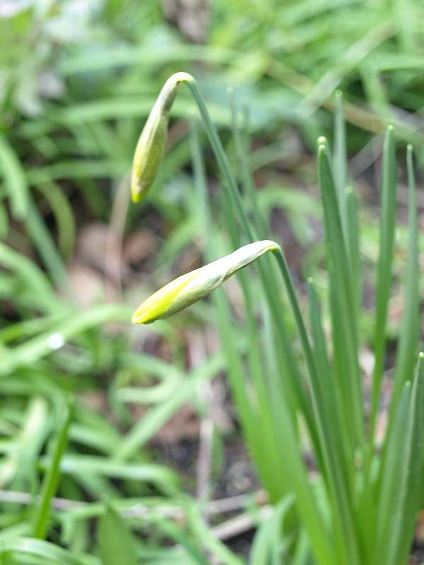 P3041558