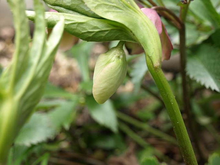 P3051583