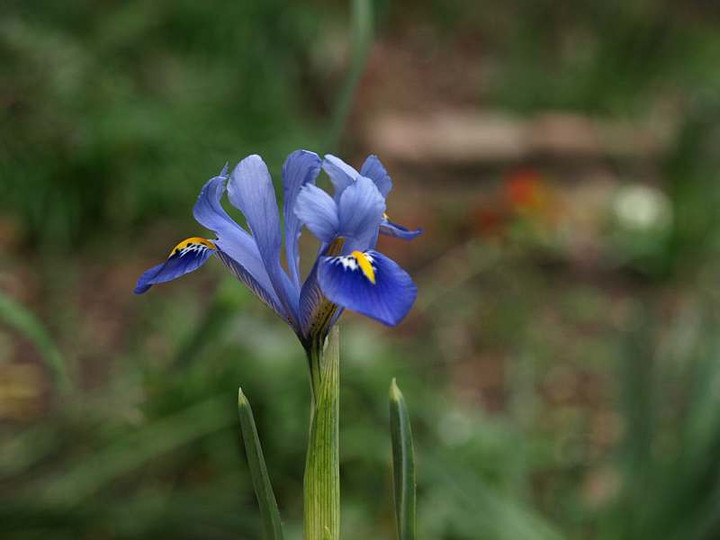 P3051590