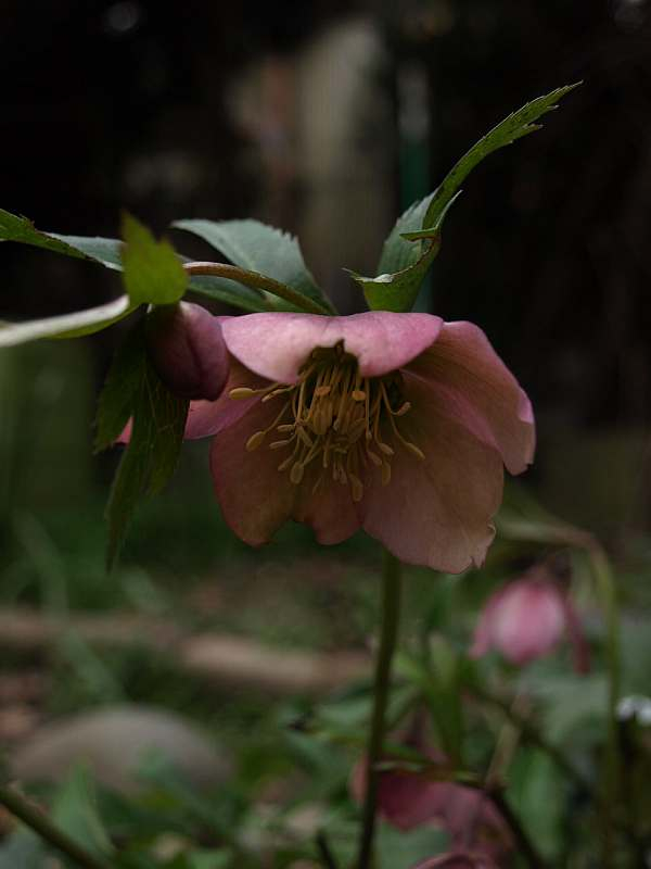P3051597