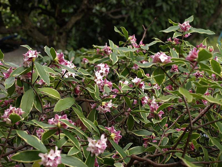 P3051601