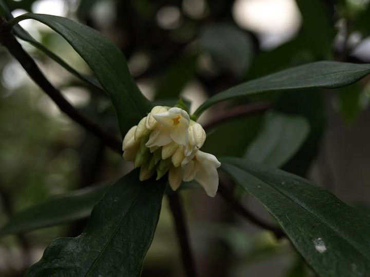 P3051603