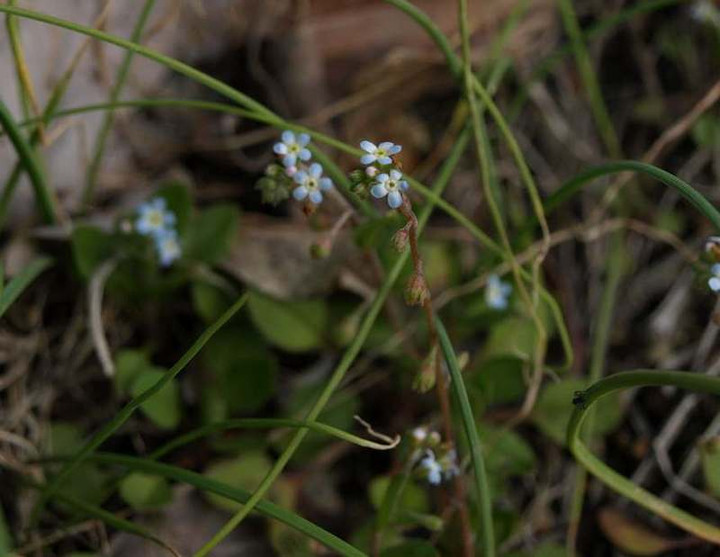 P3011388