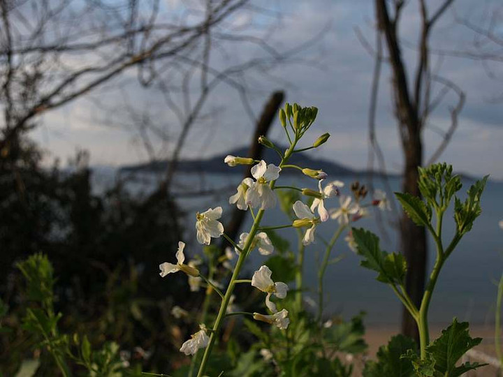 P3011505