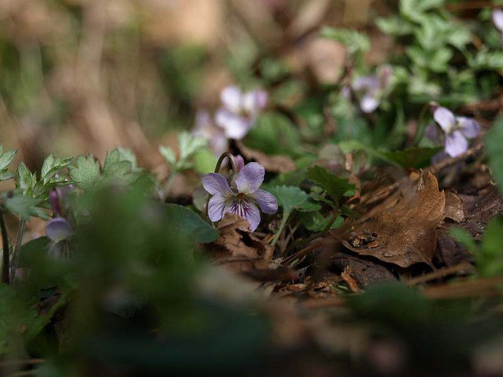 P3071647