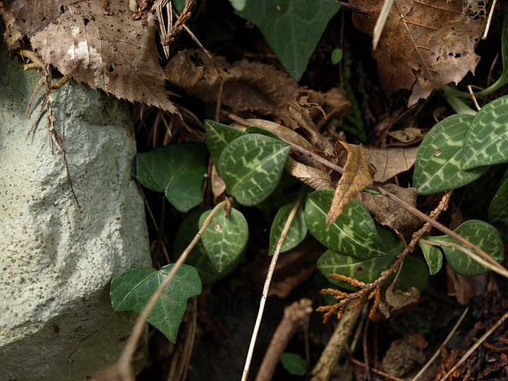 P3071651