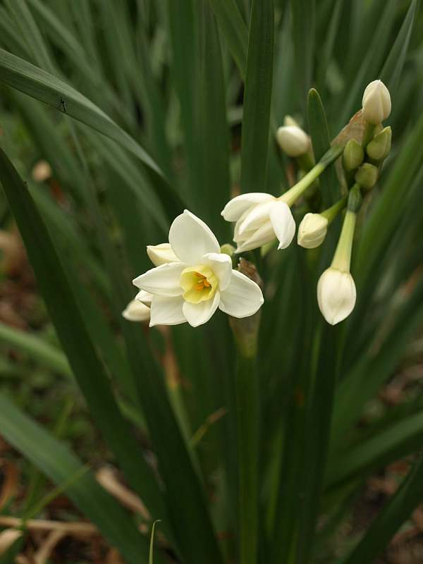 P3081820