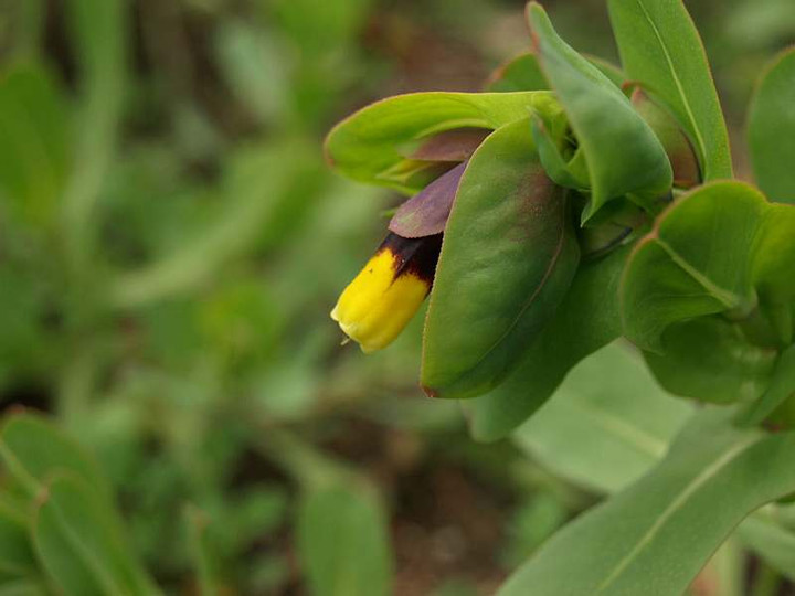 P3092112