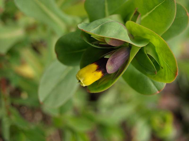 P3092115