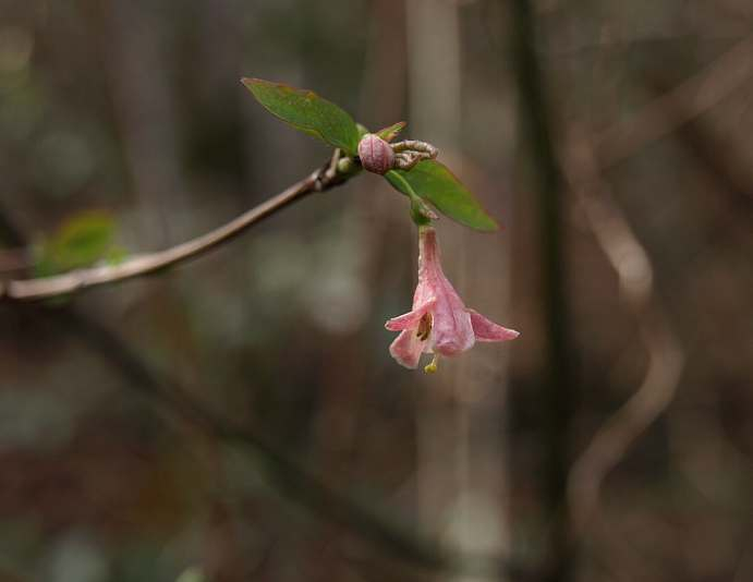 P3071745