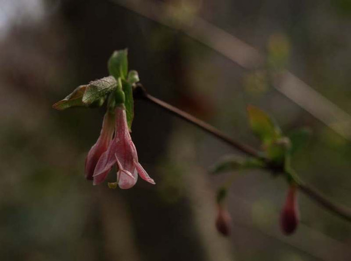 P3071746