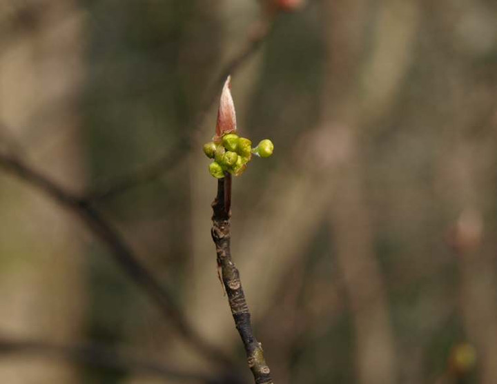 P3071751