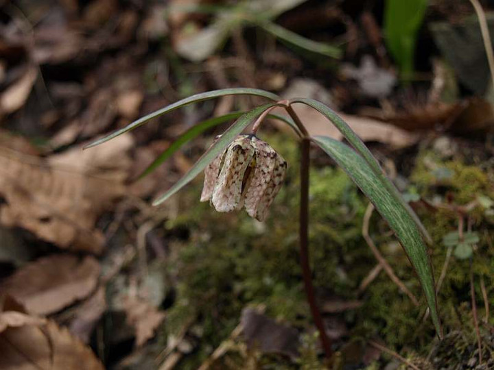 P3102263