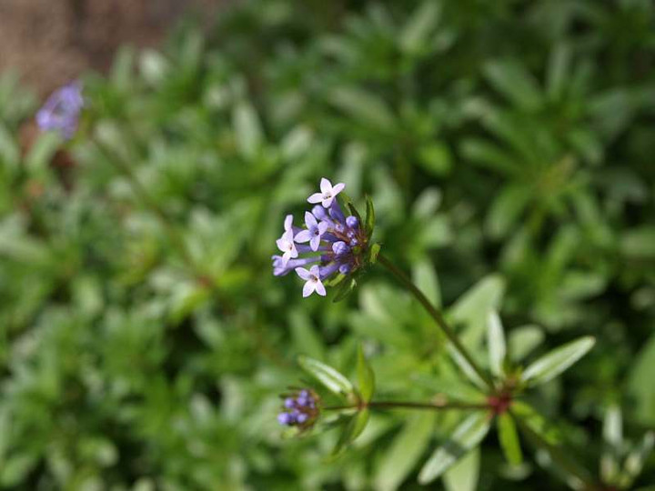 P3112449