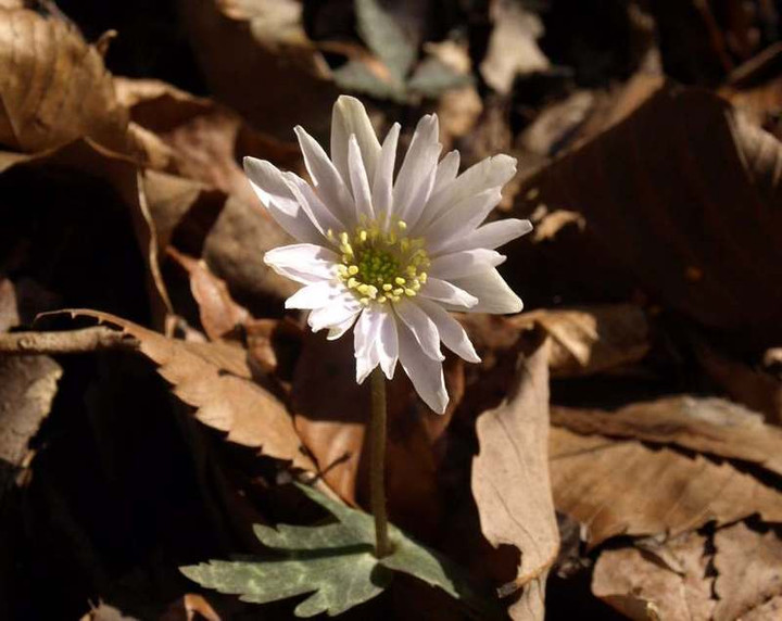 P3102207