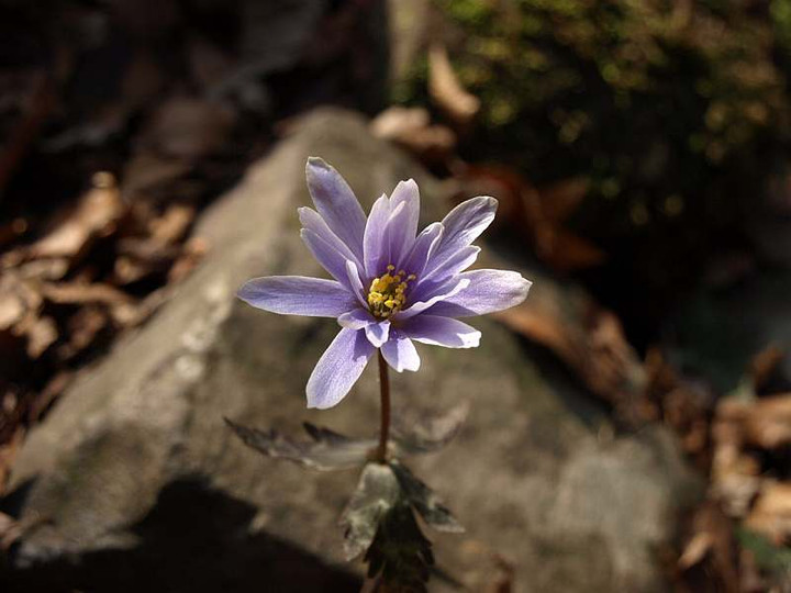 P3102184