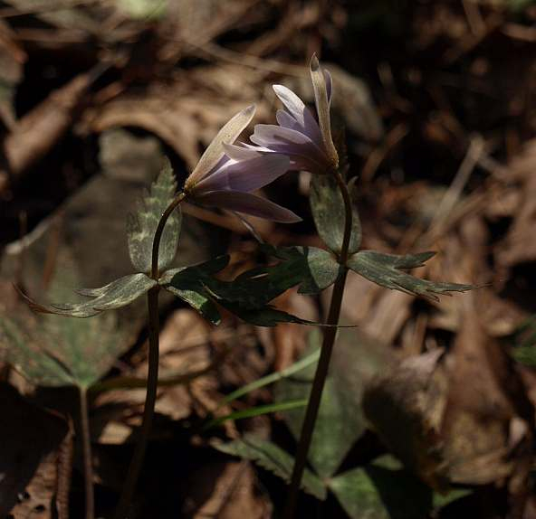P3102240