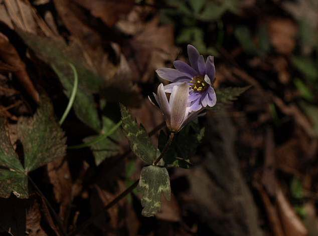 P3102244