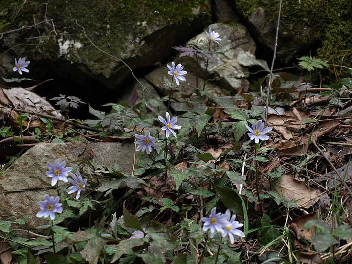 P3102257