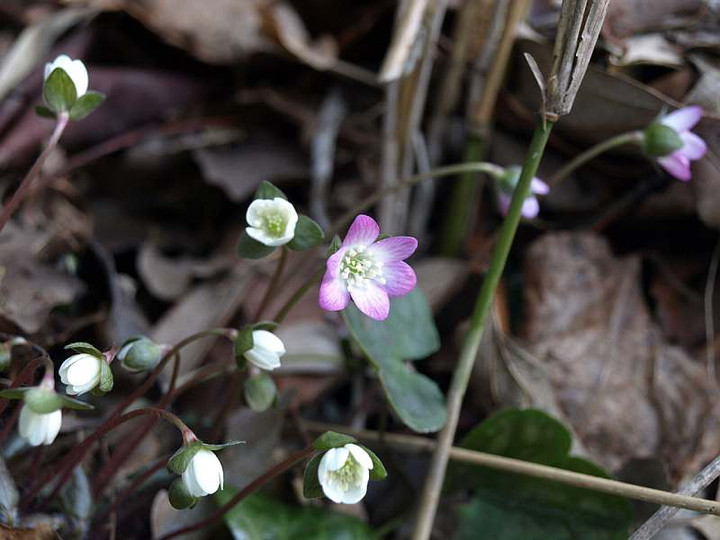 P3122539