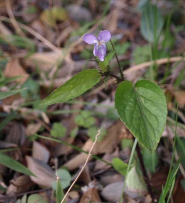 P3122564