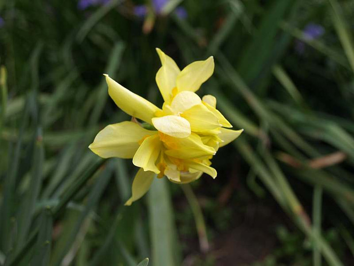 P3132589