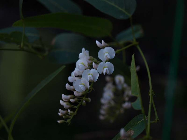 P3152708