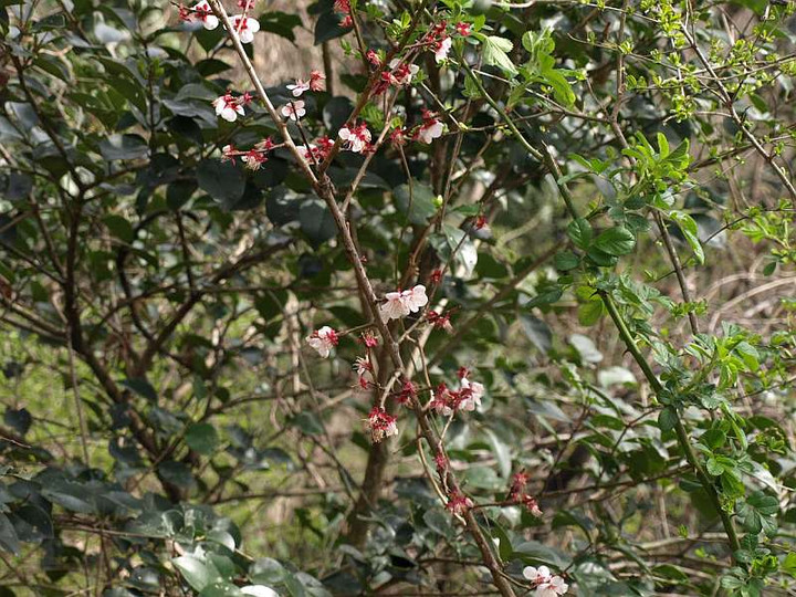 P3162767