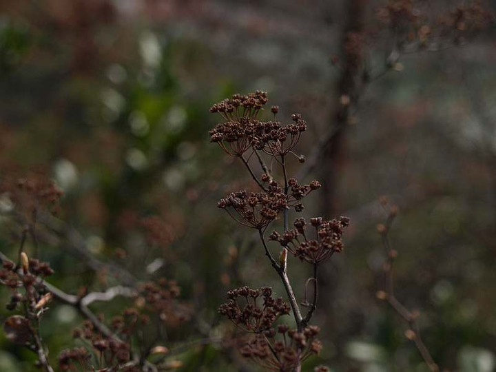 P3162787
