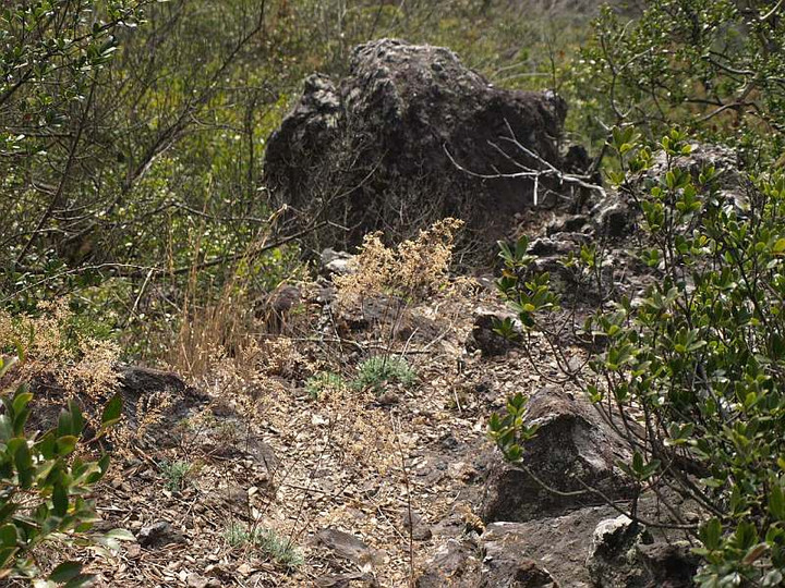 P3162810