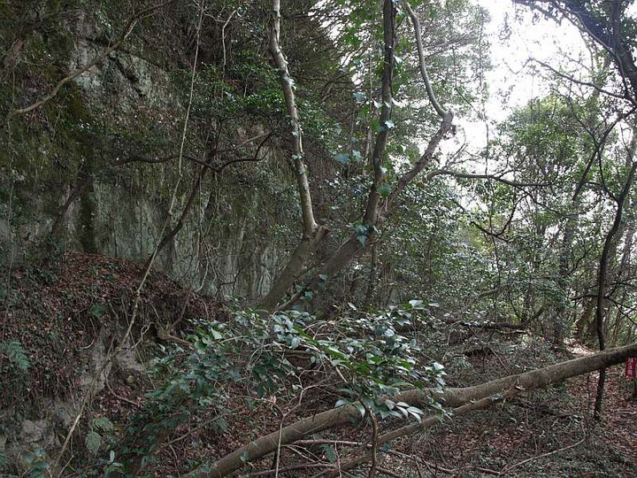 P3162815