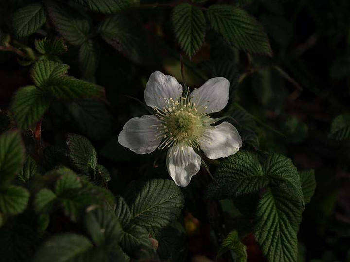 P3162834