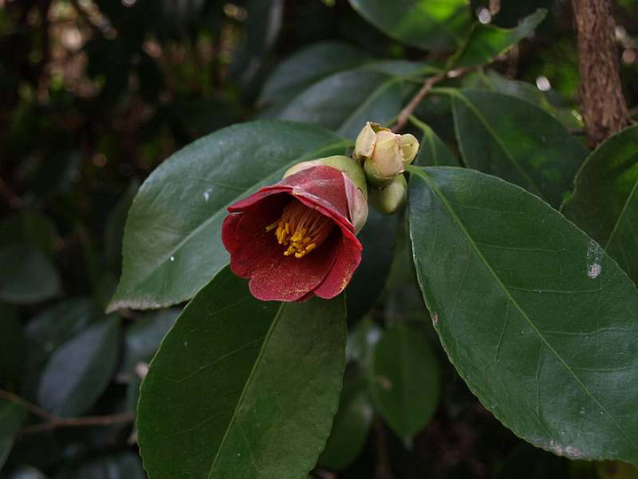 P3162849