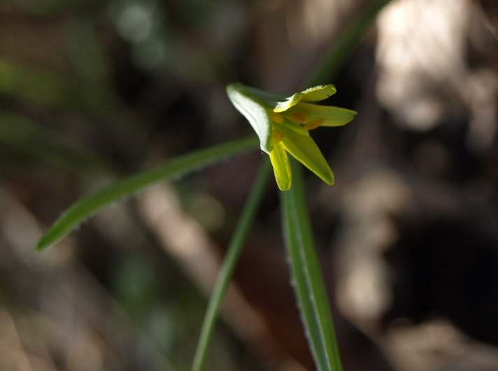 P3172968