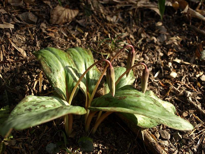 P3173324