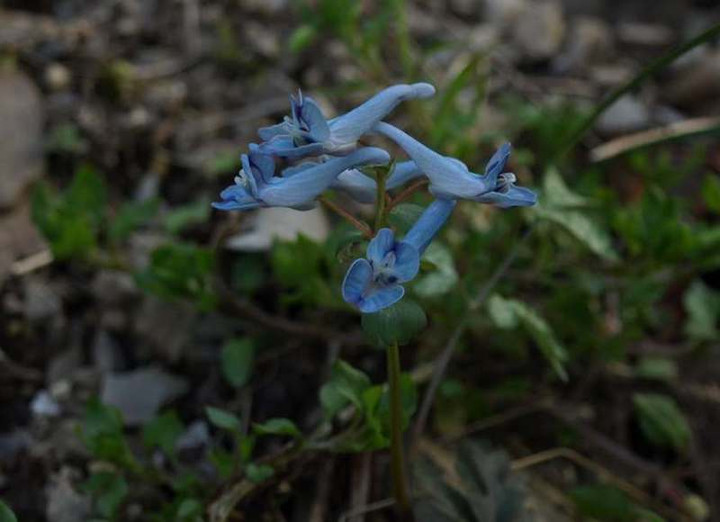 P3173351