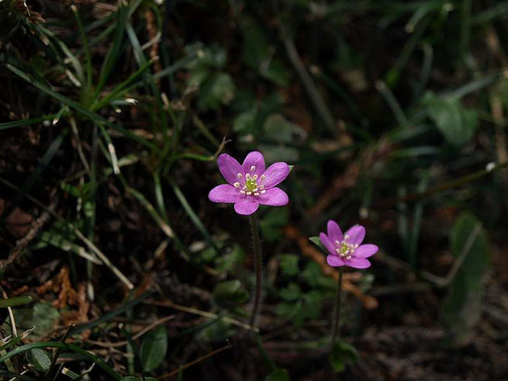 P3173172