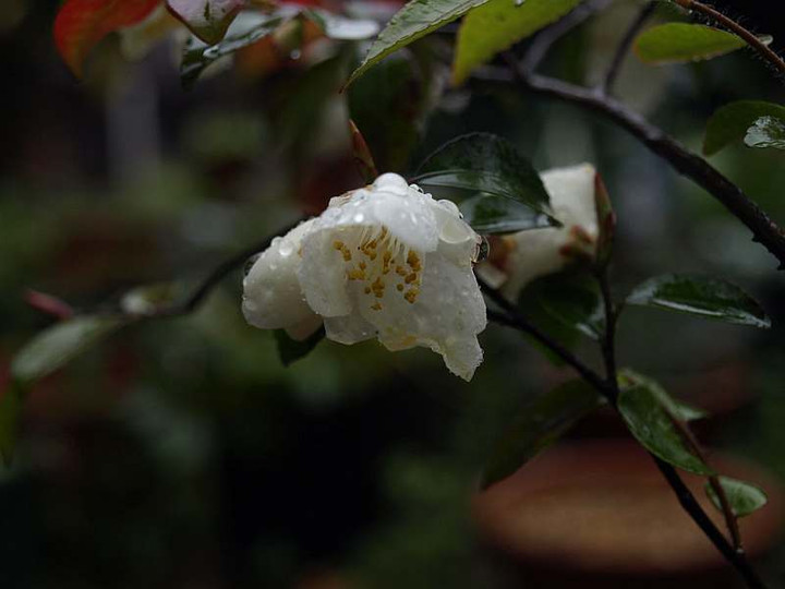 P3224410