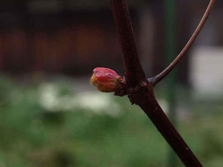 P3224430