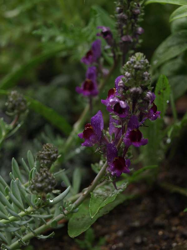 P3224433