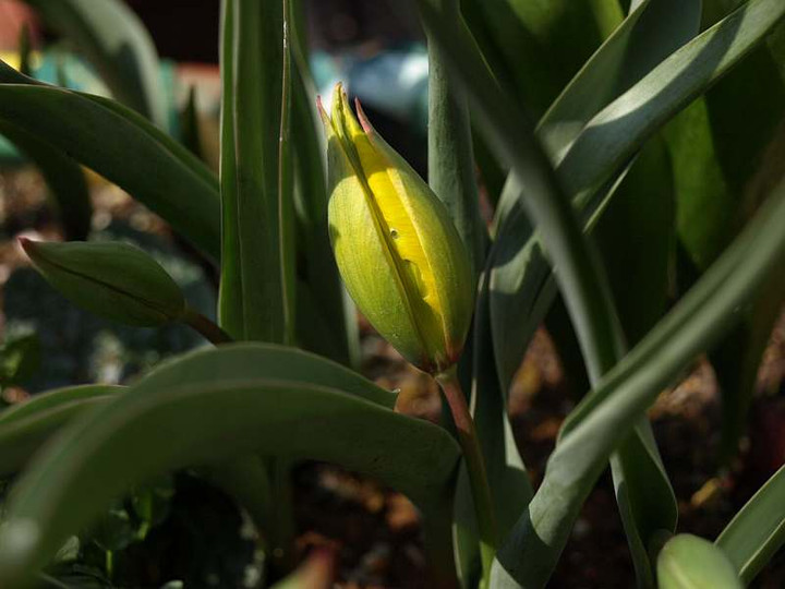 P3234492