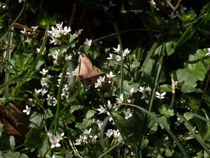 P3173004