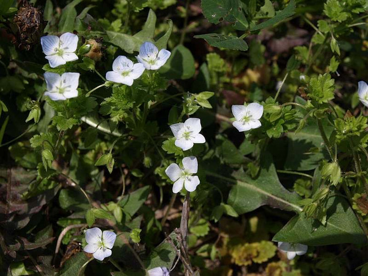 P3203638