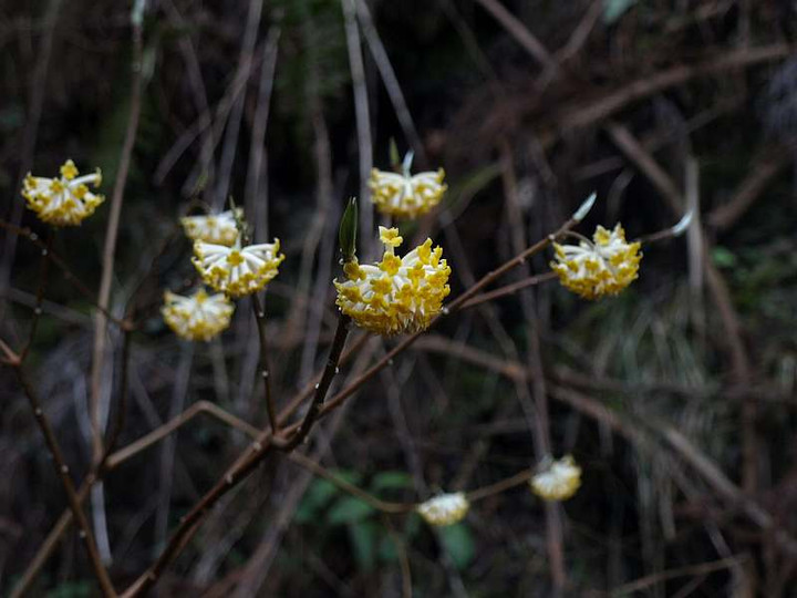 P3213878