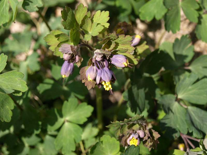 P3275149