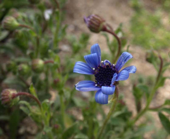 P3275219