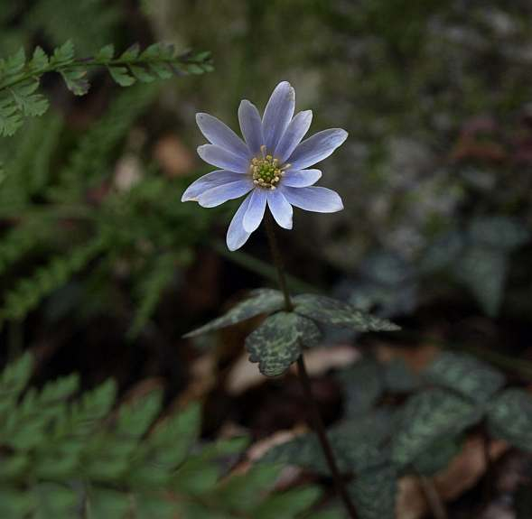 P3214231