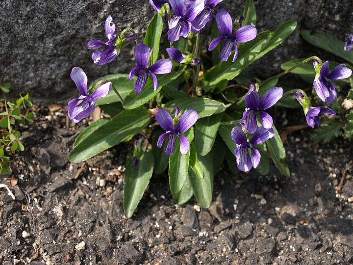 P3244656